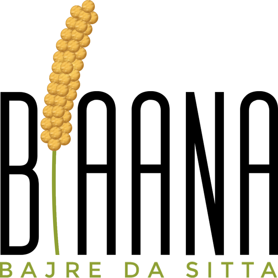 Idealift Studio Ranchi Digital Marketing Solutions